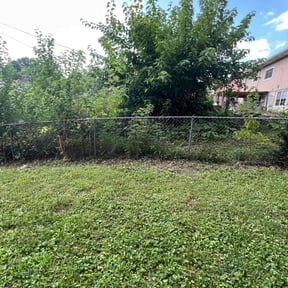 Cleanups by No Mow Worries!!! reviewed on October 9, 2022