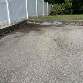 Leaf Removal by TruPro reviewed on June 17, 2020
