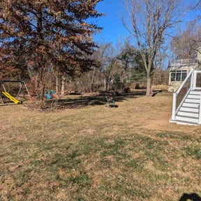 Leaf Removal by Herrera Lawn Maintenance reviewed on June 23, 2022