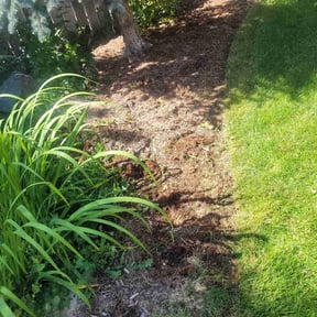 Flower Bed Weeding by Cuttas Landscaping & Lawn Services reviewed on December 29, 2021