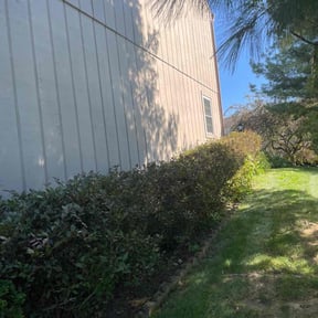 Bush Trimming by Green Knight Lawn Care reviewed on November 2, 2024
