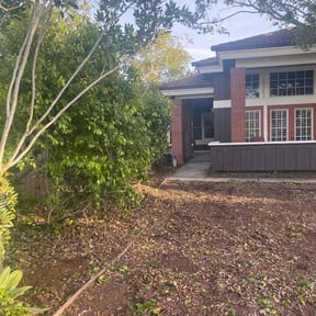 Bush Trimming by LSLTDallas/FortWorthTruGreen reviewed on June 25, 2025