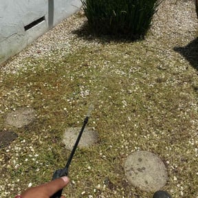 Flower Bed Weeding by Trimaway reviewed on November 7, 2021