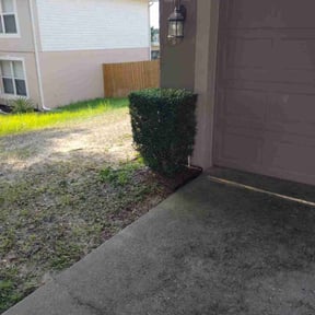 Bush Trimming by Kinge lawn care and more llc reviewed on July 26, 2022