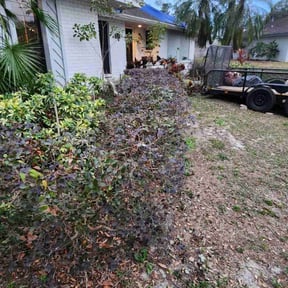 Bush Trimming by Daubrawn Elmore reviewed on May 6, 2022