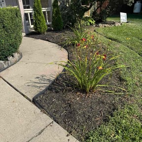 Flower Bed Weeding by Contreras Outdoors reviewed on November 26, 2024