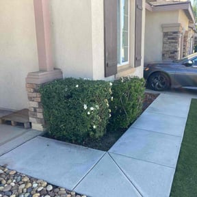 Bush Trimming by kumler lawn care reviewed on April 15, 2022