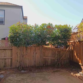 Bush Trimming by Jack Of All Trades Landscape & More/Property Preservationist reviewed on May 23, 2022