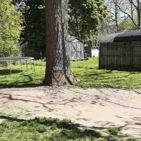 Cleanups by GREEN~GO'S LAWNCARE reviewed on July 6, 2022