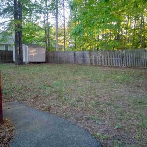 Leaf Removal by Family lawn care reviewed on July 5, 2022