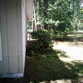 Bush Trimming by Beautiful Home Services reviewed on June 9, 2022