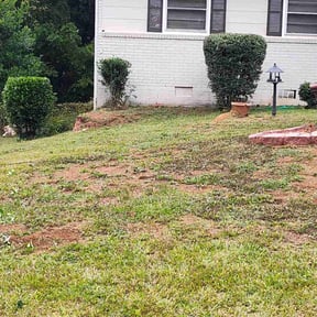 Bush Trimming by Woods Property PreservationLLC reviewed on May 24, 2022