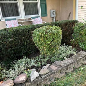 Bush Trimming by Eco Landscape & Design reviewed on May 8, 2025