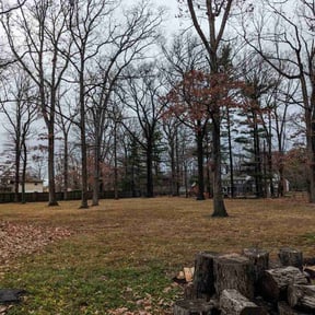 Cleanups by Mieozzies Lawn Service LLC reviewed on March 20, 2025