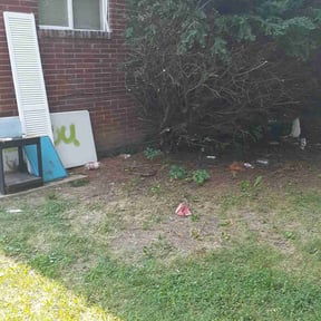 Bush Trimming by Affordable Lawncare Co. reviewed on November 2, 2022