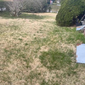 Leaf Removal by Nine Lines Lawn Care reviewed on May 5, 2022