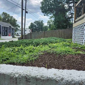 Bush Trimming by Willie's Mobile Lawn Services reviewed on May 22, 2022