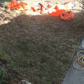 Cleanups by Jacobs lawn service reviewed on October 14, 2022