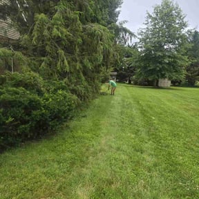 Bush Trimming by F.H PRO LLC Landscape reviewed on October 23, 2022