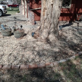 Weeding by Chad Suenram reviewed on March 12, 2025