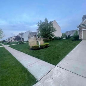 Mulching by Tilcco reviewed on June 24, 2022
