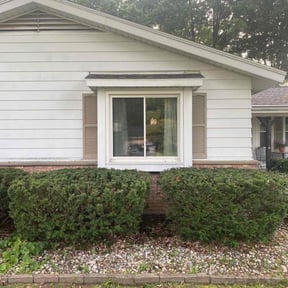 Bush Trimming by Morel Lawn & tree service reviewed on July 31, 2022