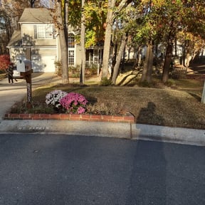 Leaf Removal by Cutting up Lawn and Tree Care reviewed on August 20, 2024