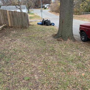 Leaf Removal by R&T lawncare reviewed on May 20, 2022