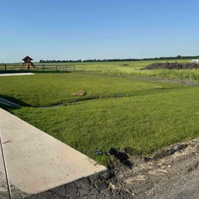 Weeding by The Green Op reviewed on March 11, 2025