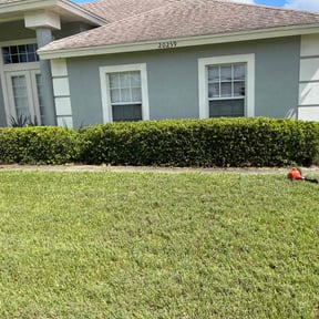 Bush Trimming by P&D Landscaping. reviewed on April 3, 2025