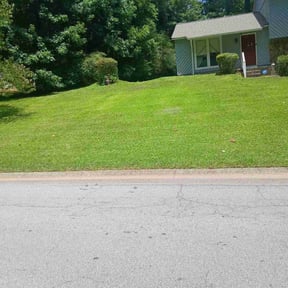 Bush Trimming by Total Yard Maintance and Snow Removal reviewed on May 22, 2022