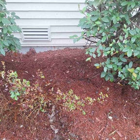 Flower Bed Weeding by Transit LLC reviewed on July 7, 2022