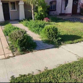 Cleanups by Residential maintenance reviewed on August 9, 2021