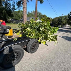 Bush Trimming by Gary Evans Lawn and Tree Service reviewed on June 18, 2021