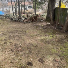 Leaf Removal by St Charles Services reviewed on June 16, 2022