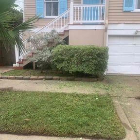 Bush Trimming by King Green All Purpose Landscaping reviewed on February 15, 2022