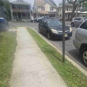 Cleanups by To The Rescue Landscaping and Hurricane Clean Up reviewed on August 19, 2021