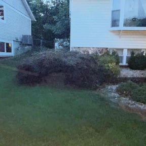 Flower Bed Weeding by Shokdaworld Lawncare reviewed on September 26, 2024