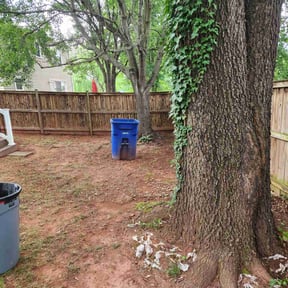 Cleanups by Discount Mowing reviewed on October 24, 2022