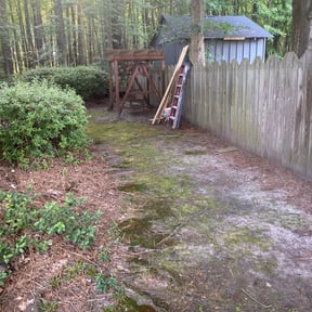 Leaf Removal by GreenWayCutters reviewed on June 17, 2025
