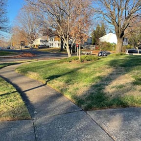 Leaf Removal by Toro Verde Lawns reviewed on April 30, 2025