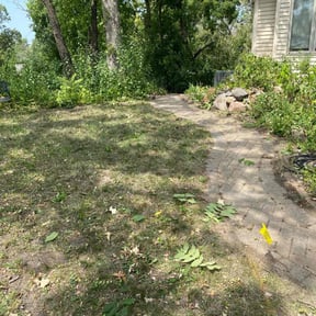 Leaf Removal by Dortch Demo and cleanup reviewed on May 17, 2022