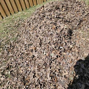 Leaf Removal by Gary' s Lawn Care Service reviewed on May 20, 2025