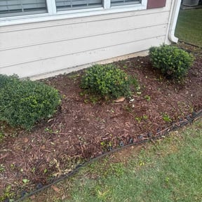 Flower Bed Weeding by A. I. Lawn & Maintenance reviewed on April 17, 2025
