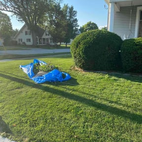 Bush Trimming by García-G lawn care service  LLC reviewed on August 18, 2024