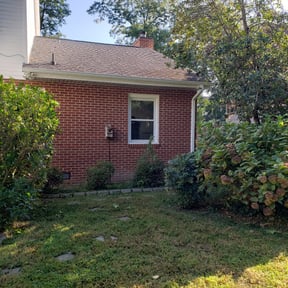 Bush Trimming by A&T Mobile Detailing and Home Renovation reviewed on April 11, 2025
