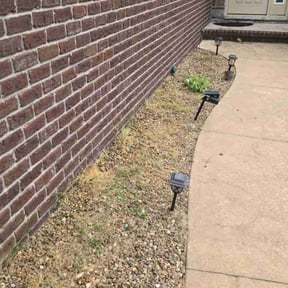 Weeding by Signature Lawn Care LLC. reviewed on June 24, 2022