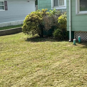Bush Trimming by Gulf Coast Renovations reviewed on May 31, 2022