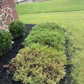 Flower Bed Weeding by J5 Lawn Care reviewed on April 29, 2025