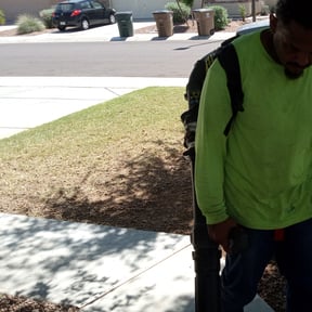 Leaf Removal by jerrys lawns service reviewed on March 28, 2022